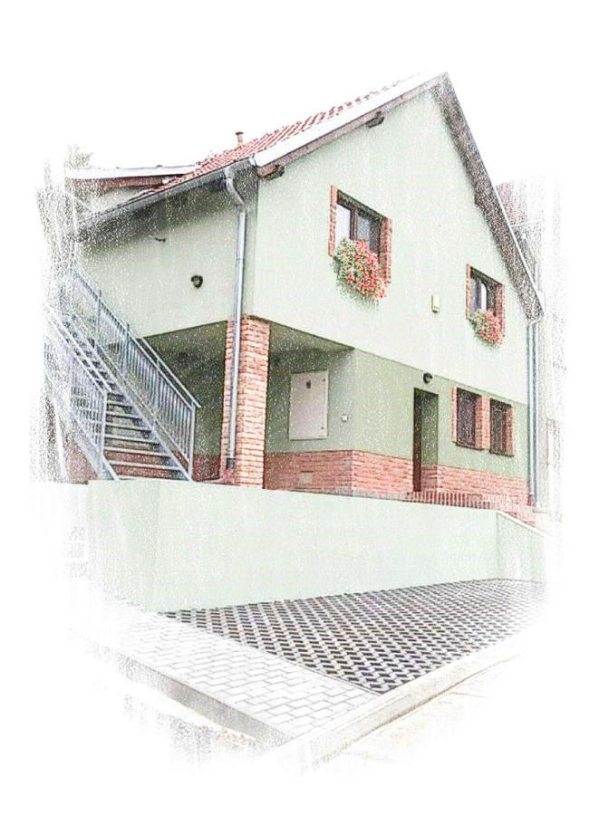 Rodinné vinařství Guldanovi Divaky Exterior foto